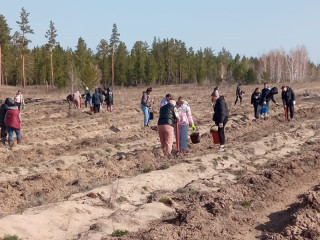 На 280 гектаров увеличится площадь «Сада памяти» в Алтайском крае