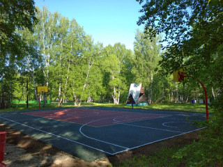 В Алтайском крае завершается этап заключения соглашений по проекту поддержки местных инициатив 2024 года