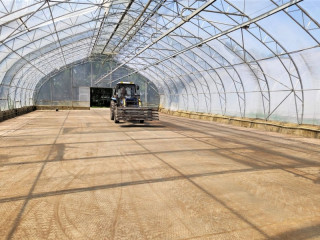 В Алтайском селекционно-семеноводческом центре ведут посев второй ротации