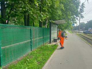 Дорожники столицы Алтайского края привели в порядок более 1 миллиона квадратных метров газона